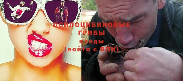 прущий лед Абаза