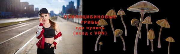 трава Абинск