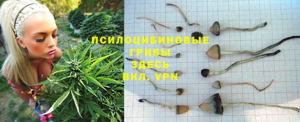 МДПВ Абдулино
