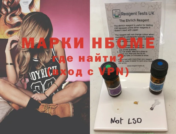 гашик Новокубанск