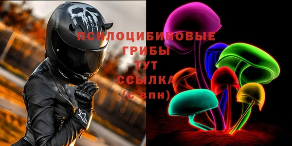 МДПВ Абдулино