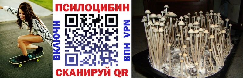 как найти наркотики  Цимлянск  Псилоцибиновые грибы прущие грибы 